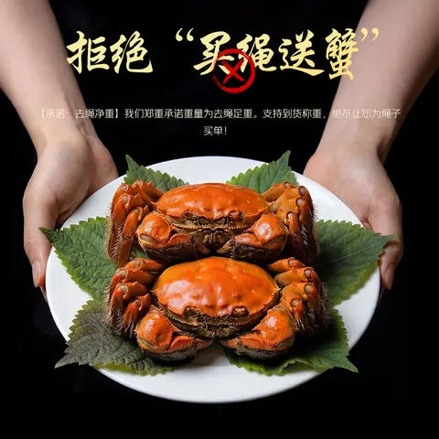 【活蟹】江问鱼 大闸蟹全母2.5两-2.8两 8只装 鲜活螃蟹生鲜中秋礼盒过节送礼 图片 3