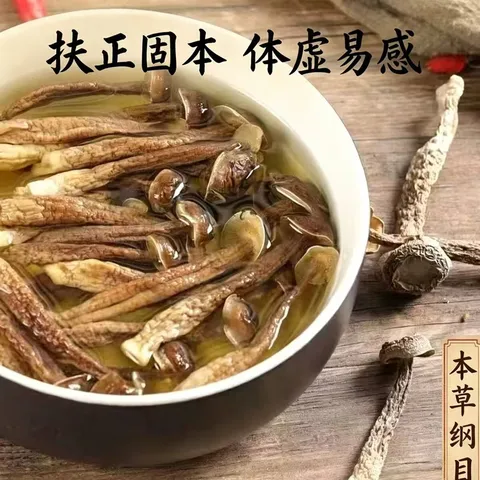 滋养气血鹿茸菇特产脆脆菇无熏新货 500g*2袋 图片 4