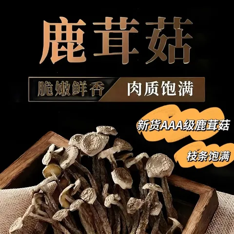 滋养气血鹿茸菇特产脆脆菇无熏新货 500g*2袋 图片 8