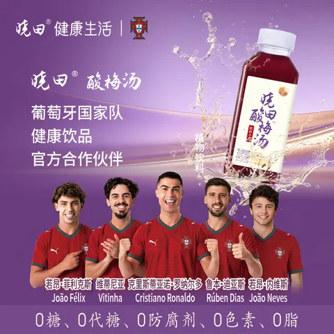 晓田 酸梅汤365ml*16瓶