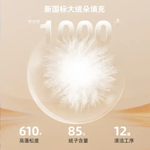 雪中飞经典新款V领轻薄显瘦羽绒马甲女士羽绒服轻盈蓬松保暖时尚 图片 4