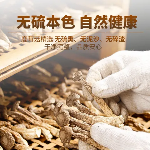 高山鹿茸菇 农家干货炒菜煲汤鲜嫩炒菜炒肉熬鸡汤特产 鹿茸菇50g*2袋 图片 4