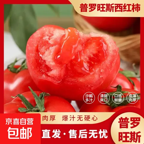 【新鲜夏柿】现摘山东普罗旺斯沙瓤口感西红柿生吃水果番茄包邮 5斤普罗旺斯西红柿 4.5斤 净重 中大果（单果125g+） 口感西红柿【自然成熟】 图片 1