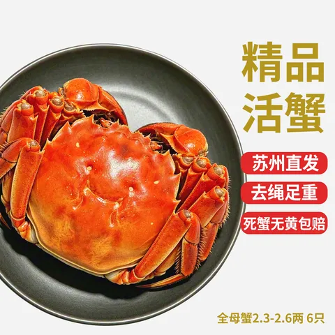 【活蟹】乾澄大闸蟹现货 全母蟹2.3-2.6两  6只 净重鲜活螃蟹海鲜生鲜中秋礼盒 图片 1