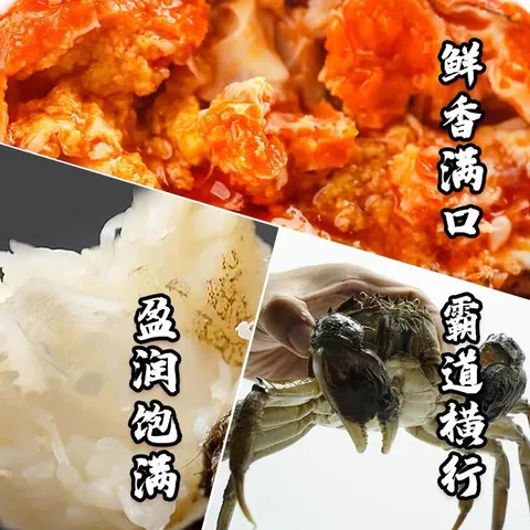 【活蟹】湖鲜阳澄 大闸蟹 去绳足重 全母蟹2.3-2.6两 8只 鲜活超大螃蟹中秋国庆礼盒装 图片 3