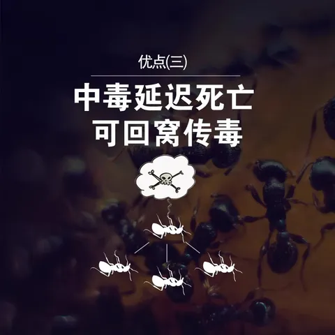 巴斯夫（BASF）呋虫胺40%杀虫剂喷雾灭跳蚤药大面积灭苍蝇蚂蚁药杀蟑螂药2只 图片 8
