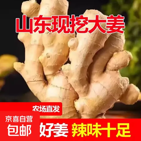大黄姜5斤新鲜老姜