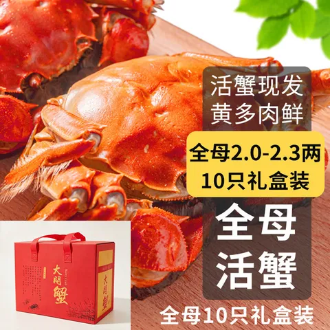 【活蟹】乾澄大闸蟹现货 全母蟹2.0-2.3两 10只 去绳足重鲜活螃蟹海鲜中秋礼盒装 图片 1