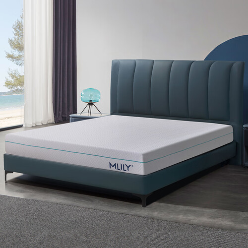 梦百合弹簧床垫 mlily 梦百合 月梦 记忆棉零压床垫 180多少钱-聚超值