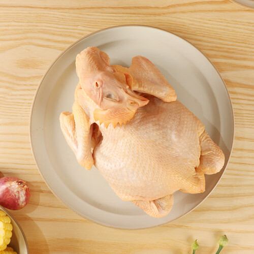 温氏 跑步小土鸡650g 童子鸡土鸡 走地鸡整鸡火锅食材 生鲜鸡肉 23.