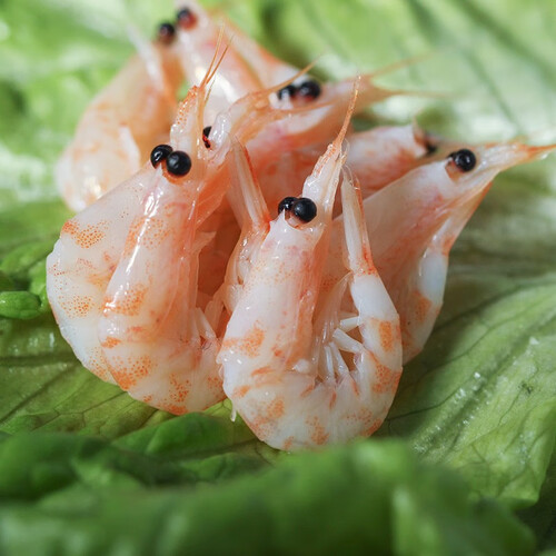 南极直达虾类 南极直达 冷冻南极磷虾 800g多少钱-聚超值