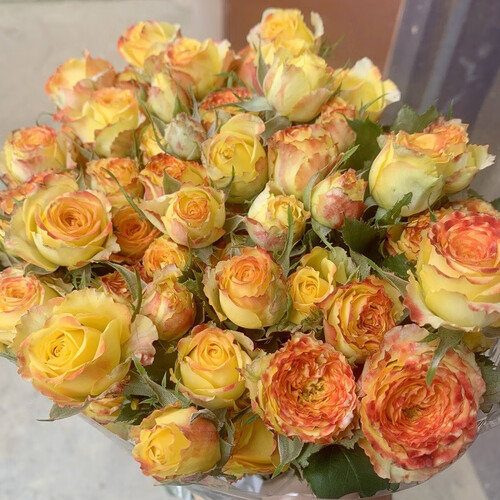 tenfour生活鲜花 有券的上:tenfour 橙色芭比泡泡鲜花(10枝25-30头)