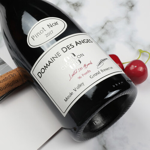 云汇黑皮诺红酒智利进口特酿珍藏级黑比诺grandreserve干红葡萄酒单支