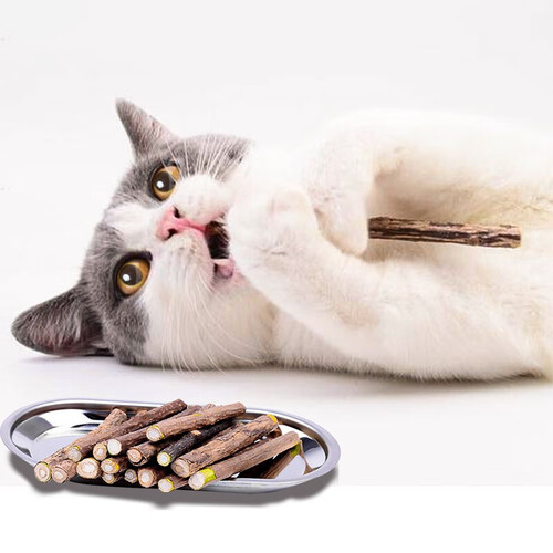 猫玩具逗猫棒玩具猫零食猫薄荷幼猫咪磨牙棒小猫木天蓼磨牙棒猫猫用品
