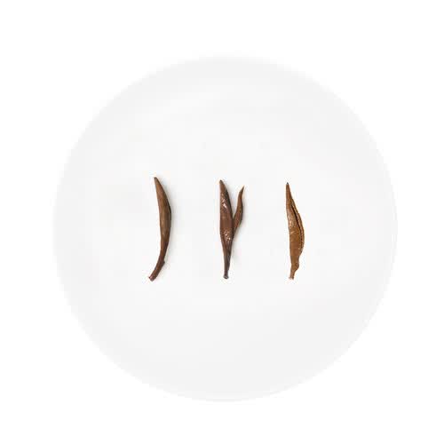 小罐茶红茶 小罐茶银罐特级金骏眉红茶工夫红茶茶叶礼盒40g花果香馥郁
