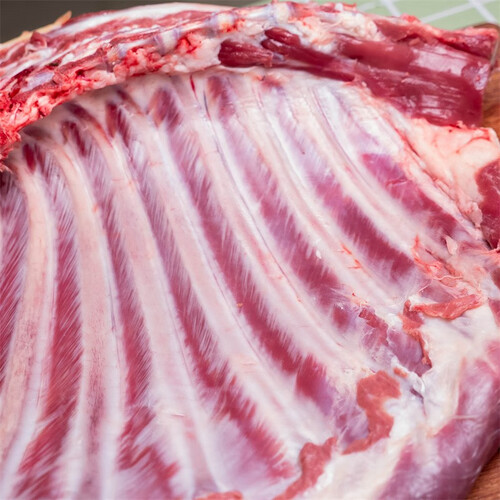 绿鲜印象(lvyeyinxiang) 精选原切羊排 净排新鲜现宰羔羊带脊柱大排