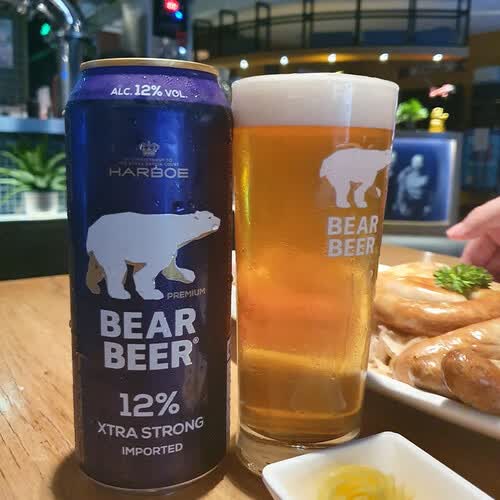豪铂熊bearbeer12浓烈啤酒500ml24听整箱装德国原装进口