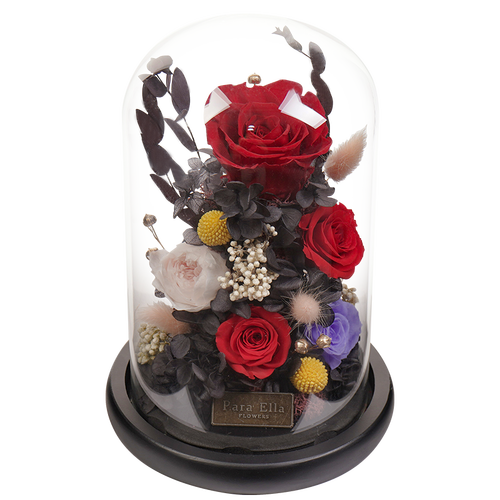 para ella永生花 plus会员:para ella 由衷欣赏 混搭永生玫瑰花多少钱