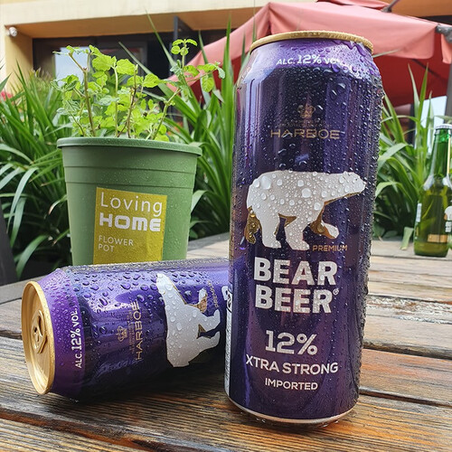 豪铂熊bearbeer12浓烈啤酒500ml24听整箱装德国原装进口