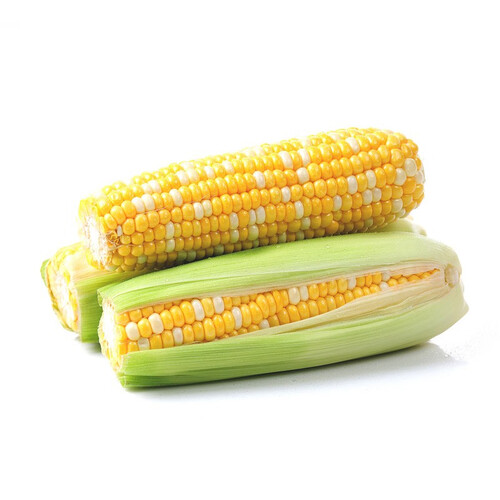 佳农 正宗库普拉水果甜玉米 云南爆浆甜脆鲜玉米 550g以上 两根装 12.