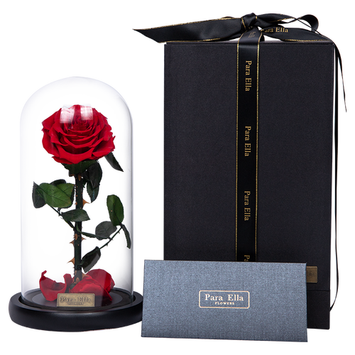 para ella永生花 para ella 永生花玫瑰花玻璃罩 红色多少钱-聚超值