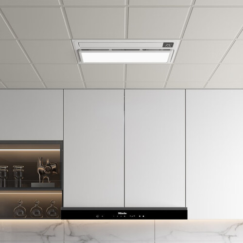 友邦(youpon)凉霸 youpon 友邦集成吊顶 dl002 厨房凉霸 300*600mm