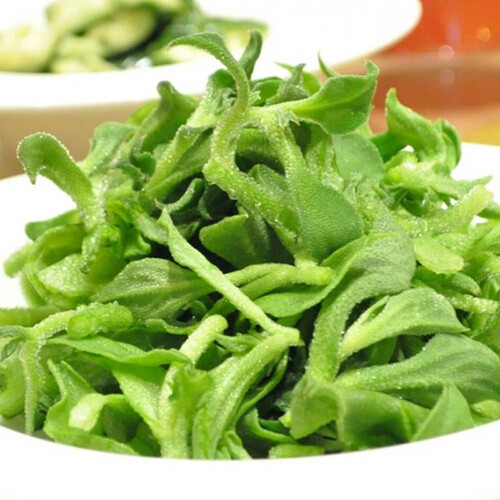 果仙享 新鲜冰草冰草水晶菜 1.5斤装 新鲜蔬菜 29.9元-聚超值