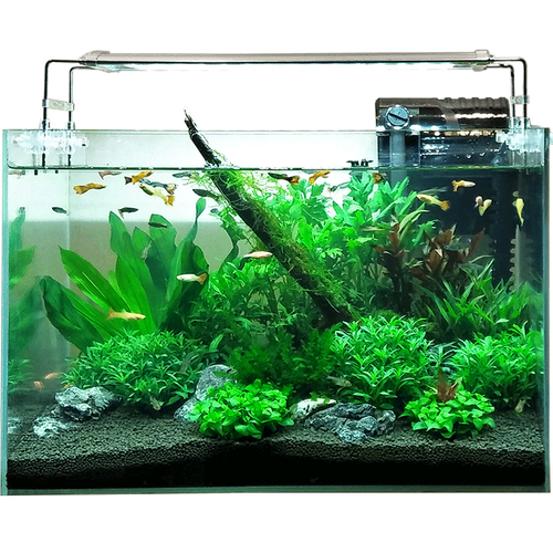 sea star 超白鱼缸超白玻璃水族箱 小型鱼缸桌面客厅斗鱼乌龟缸草缸