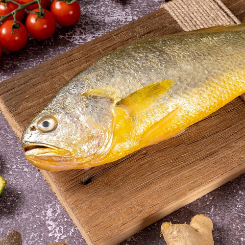 三都港国产宁德大黄鱼三去速冻新鲜生鲜活鱼冷冻水产黄花鱼海鲜黄瓜鱼