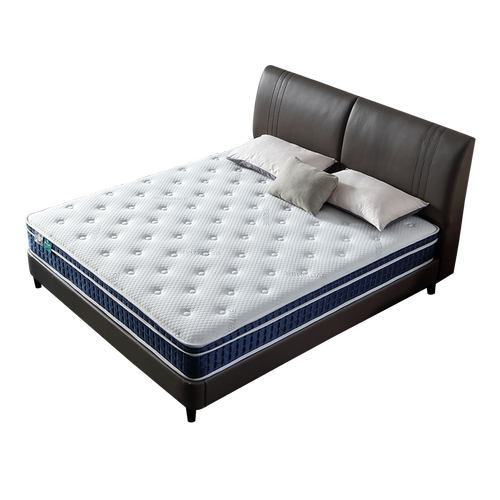 雅兰床垫 椰棕硬睡感 席梦思独立弹簧乳胶椰棕护脊床垫 兰梦旗舰版 兰