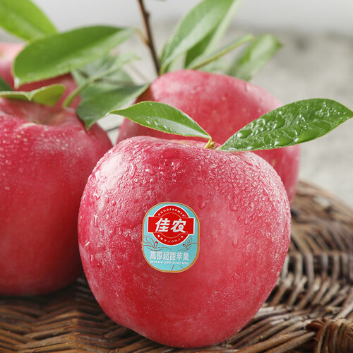 佳农 陕西洛川苹果红富士5kg 单果克重约160g-200g 水果 生鲜礼盒 69.