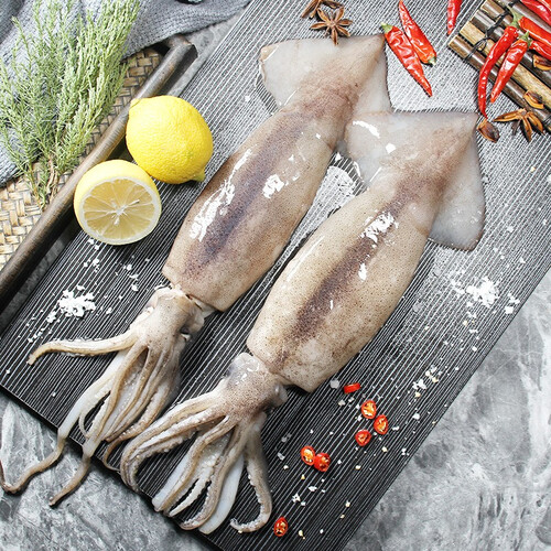 初鲜鲜冻海捕整条大鱿鱼 600-650g 两条装 铁板鱿鱼烧烤食材 海鲜水产