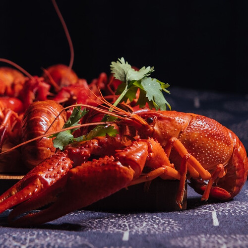 上麟记洪湖麻辣小龙虾800g35钱2730只净虾500g餐饮同款洪湖小龙虾熟食