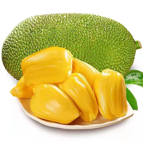 拾小鹿黄肉菠萝蜜当季新鲜水果一整个带壳不懂这么看熟与不熟可咨询