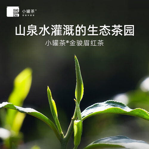 小罐茶红茶 小罐茶银罐特级金骏眉红茶工夫红茶茶叶礼盒40g花果香馥郁