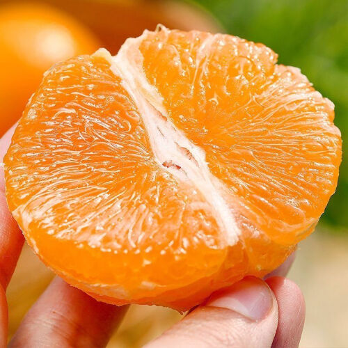 静羽四川爱媛38号果冻橙 当季新鲜水果手剥柑橘甜桔子礼盒装整箱 5斤