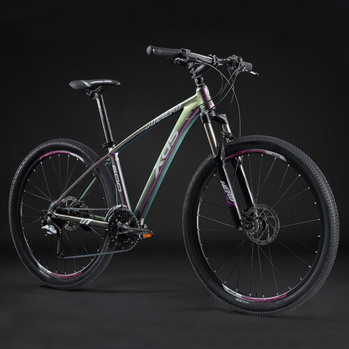 喜德盛(xds)山地车 xds 喜德盛 英雄 600 山地自行车 雾光渐变色 17寸
