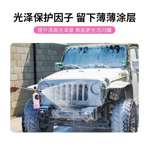 guys)清洁剂 chemical guys 化学小子 cws_402 洗车液 3