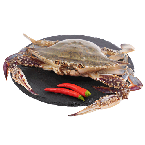 鲜尝态蟹类 鲜尝态 东海梭子蟹 7-8只 单只150g-200g 1.