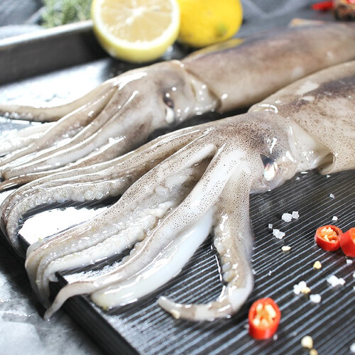 初鲜鲜冻海捕整条大鱿鱼 600-650g 两条装 铁板鱿鱼烧烤食材 海鲜水产