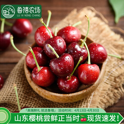 鲁禧山东大樱桃车厘子水果现摘现发时令生鲜孕妇儿童当季新鲜水果j级5
