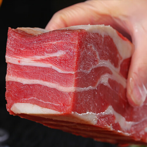 帕莱农阿根廷牛腩500g/袋 原切整切 进口牛腩块 牛肉 生鲜冷冻 29.