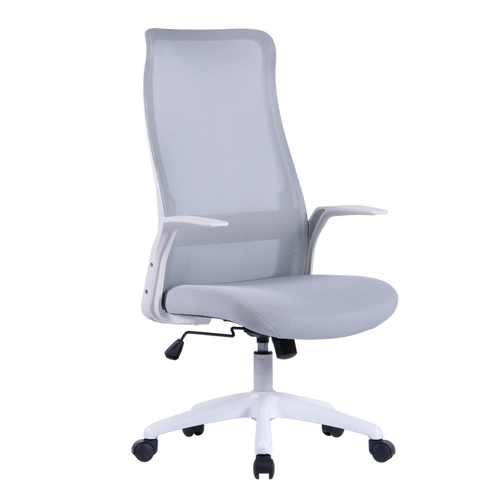 联丰(lianfeng)电脑椅居家办公椅子家用网椅人体工学椅职员椅ds-217