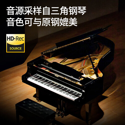 特伦斯(terence)手卷钢琴 特伦斯(terence)手卷钢琴88键智能折叠电子