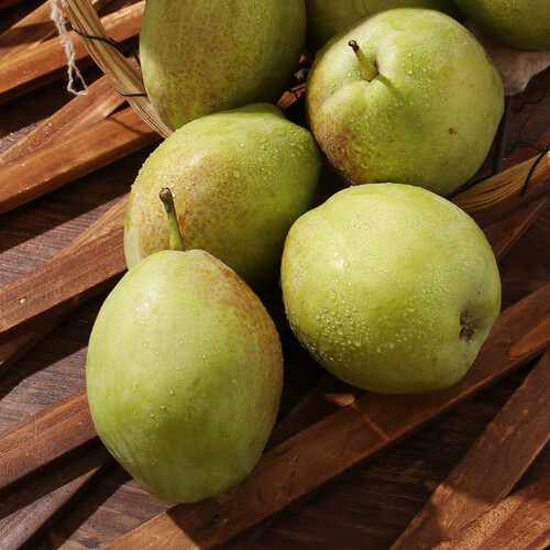 京鲜生梨 京觅 新玉香梨 2.5kg多少钱-聚超值