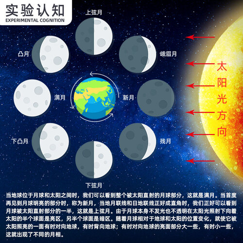 博教(bojiao)教学模型 bojiao 博教 xlg0008 月相成因