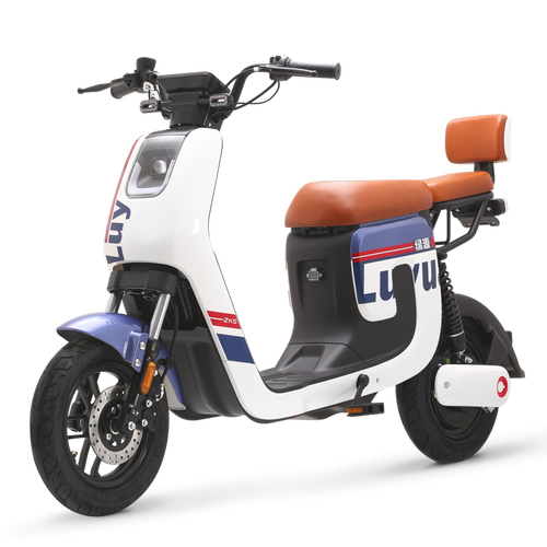 新国标电动自行车k5 通勤代步轻便电瓶车 48v24a可提锂电