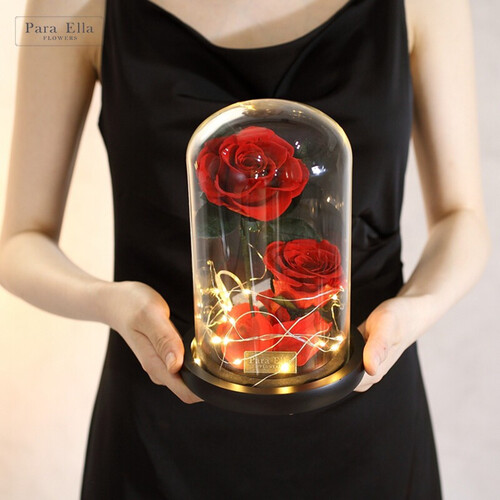 paraella2朵玫瑰永生花礼盒七夕情人节礼物送女友生日礼物结婚纪念日