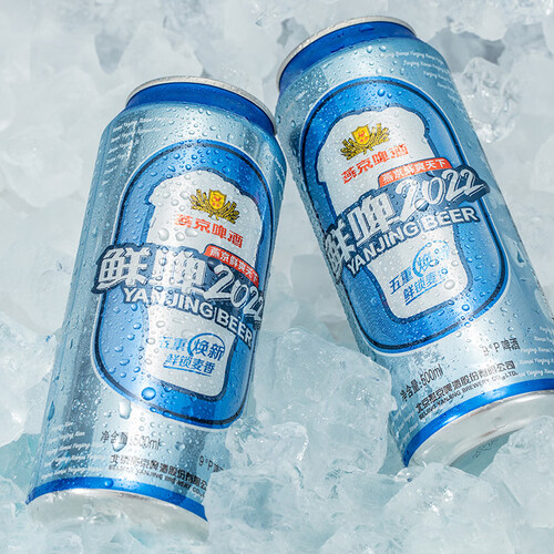 燕京啤酒9度鲜啤2022500ml12听整箱装