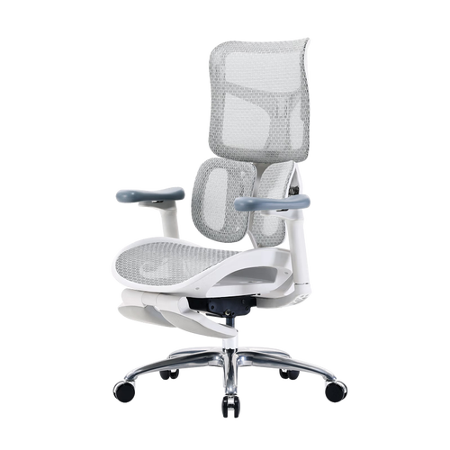 西昊(sihoo)电脑椅 sihoo 西昊 s100 人体工学椅多少钱-聚超值